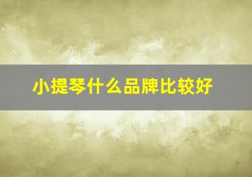 小提琴什么品牌比较好