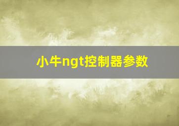 小牛ngt控制器参数