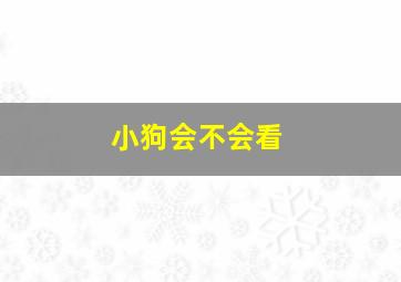 小狗会不会看