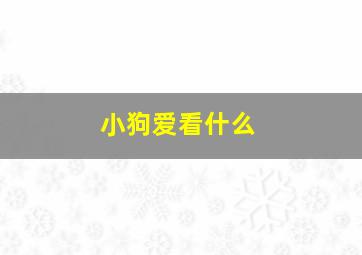 小狗爱看什么