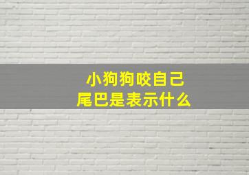 小狗狗咬自己尾巴是表示什么