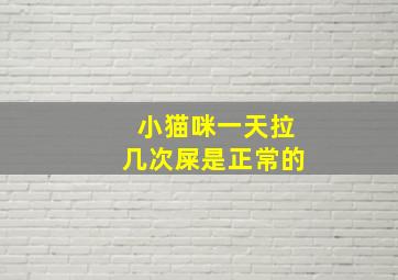 小猫咪一天拉几次屎是正常的