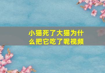 小猫死了大猫为什么把它吃了呢视频