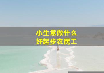 小生意做什么好起步农民工