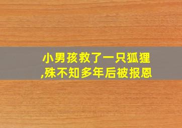 小男孩救了一只狐狸,殊不知多年后被报恩