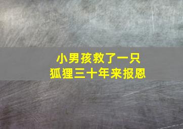 小男孩救了一只狐狸三十年来报恩