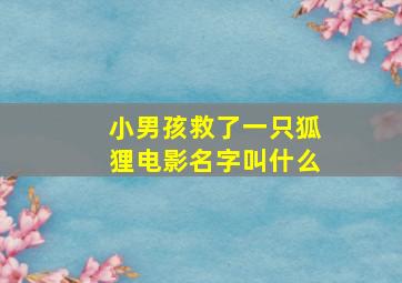 小男孩救了一只狐狸电影名字叫什么