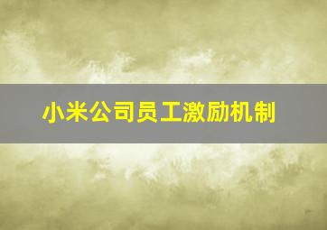 小米公司员工激励机制