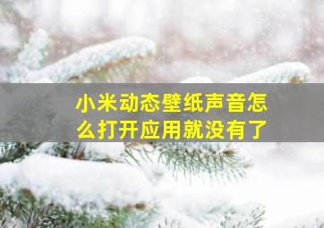 小米动态壁纸声音怎么打开应用就没有了