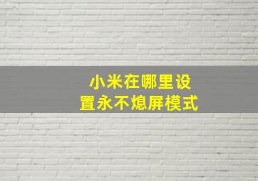 小米在哪里设置永不熄屏模式