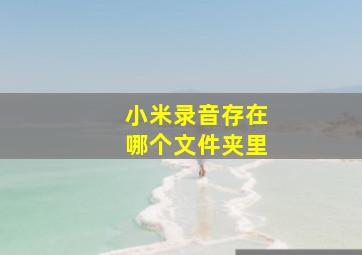 小米录音存在哪个文件夹里