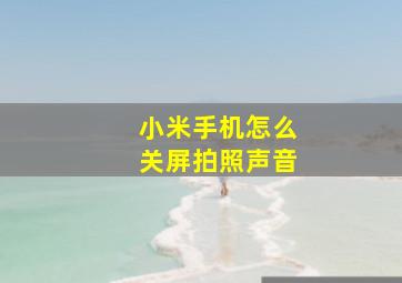 小米手机怎么关屏拍照声音