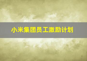 小米集团员工激励计划