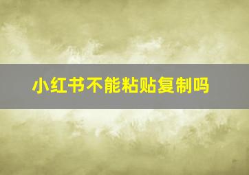 小红书不能粘贴复制吗