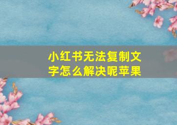 小红书无法复制文字怎么解决呢苹果