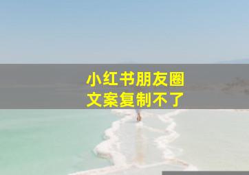 小红书朋友圈文案复制不了