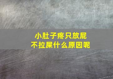 小肚子疼只放屁不拉屎什么原因呢