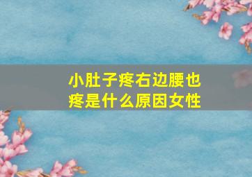 小肚子疼右边腰也疼是什么原因女性