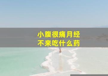 小腹很痛月经不来吃什么药