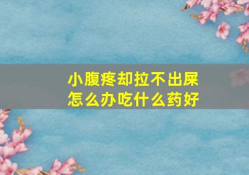 小腹疼却拉不出屎怎么办吃什么药好