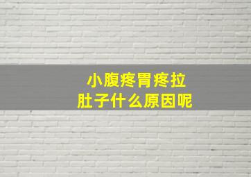 小腹疼胃疼拉肚子什么原因呢