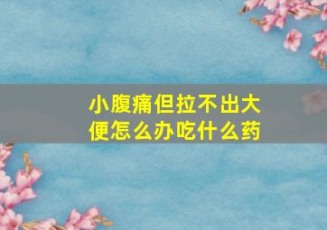 小腹痛但拉不出大便怎么办吃什么药