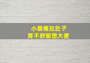 小腹痛拉肚子胃不舒服想大便