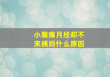 小腹痛月经却不来姨妈什么原因