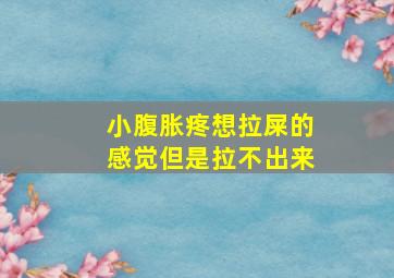 小腹胀疼想拉屎的感觉但是拉不出来