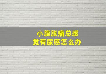 小腹胀痛总感觉有尿感怎么办