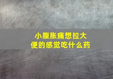 小腹胀痛想拉大便的感觉吃什么药