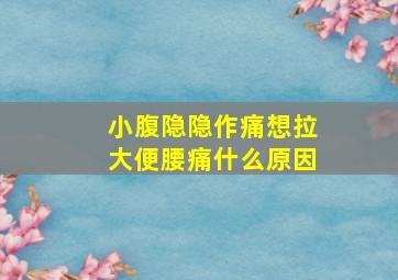 小腹隐隐作痛想拉大便腰痛什么原因