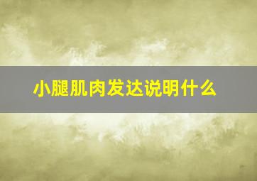 小腿肌肉发达说明什么