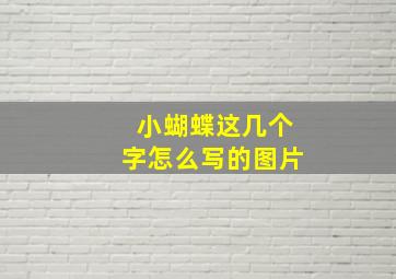 小蝴蝶这几个字怎么写的图片