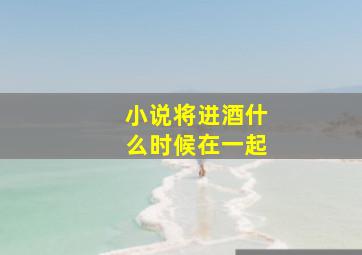 小说将进酒什么时候在一起