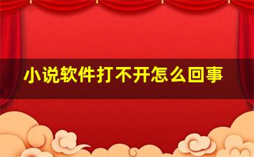 小说软件打不开怎么回事