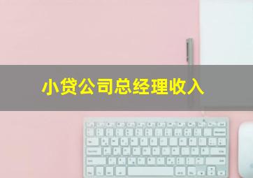 小贷公司总经理收入