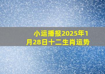 小运播报2025年1月28日十二生肖运势