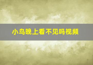 小鸟晚上看不见吗视频