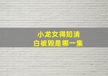 小龙女得知清白被毁是哪一集