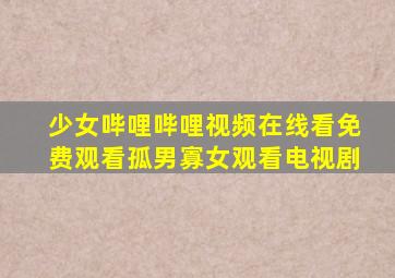 少女哔哩哔哩视频在线看免费观看孤男寡女观看电视剧