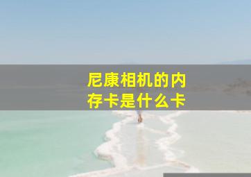 尼康相机的内存卡是什么卡