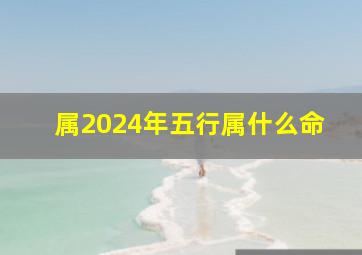 属2024年五行属什么命