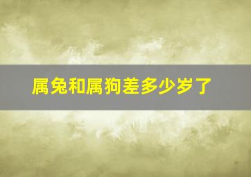 属兔和属狗差多少岁了