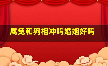 属兔和狗相冲吗婚姻好吗