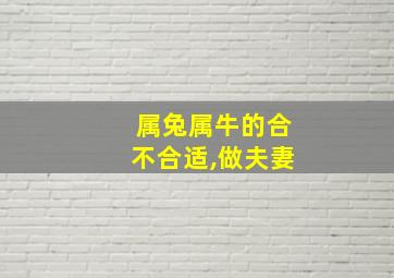 属兔属牛的合不合适,做夫妻