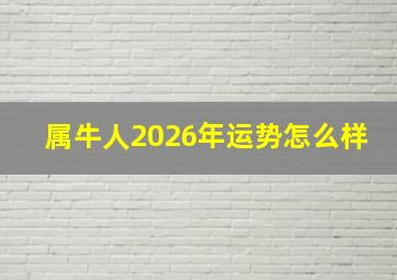 属牛人2026年运势怎么样