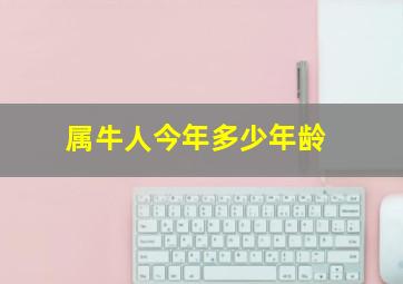 属牛人今年多少年龄