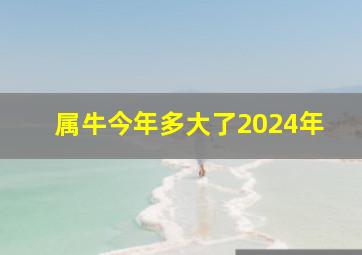 属牛今年多大了2024年