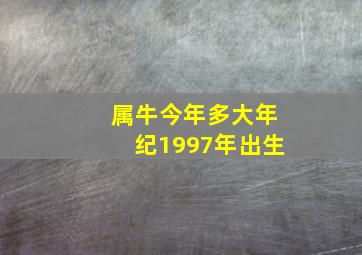 属牛今年多大年纪1997年出生